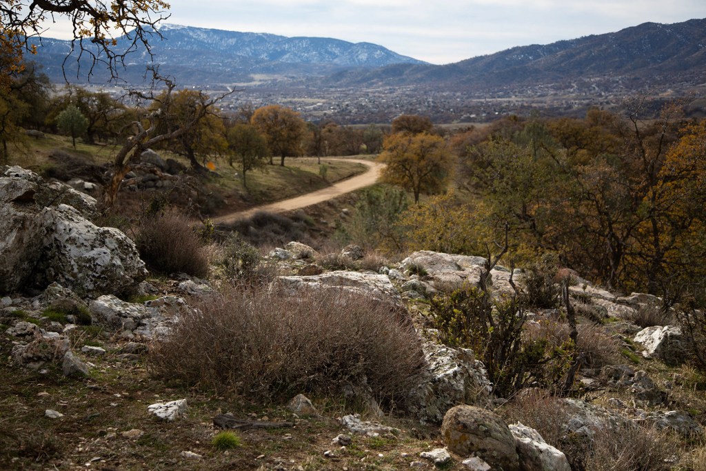 Mountains in the background of a forested valley with a dirt road running through it.