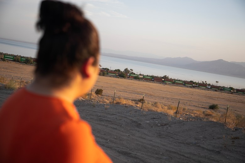 A person in an orange sweater watches as a freight train rolls by in a desert landscape.