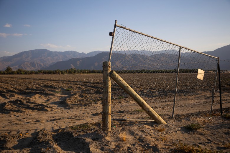 A chain-linked fence and wooden posts in the foreground of a desert landscape, with low sunlight.