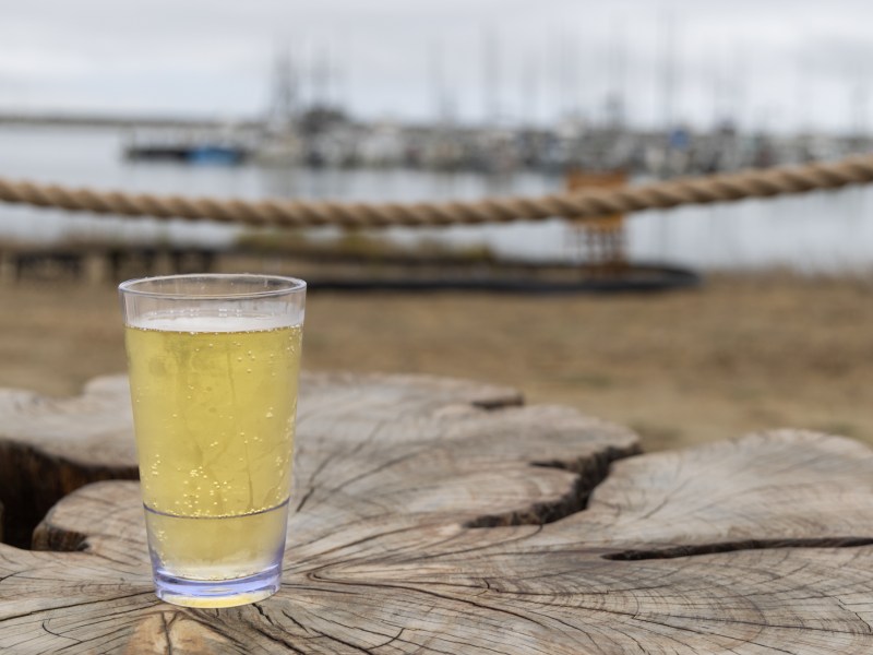 Cider and a view of the harbor at OceanCiders in Half Moon Bay on September 3, 2023. Photo by Devin Roberts.