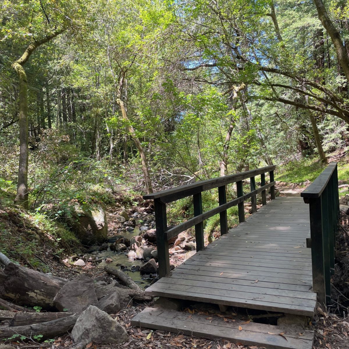 Looking for things to do in July? Try a history tour, guided earthquake walk, garden art exhibit or sunset hike at Filoli