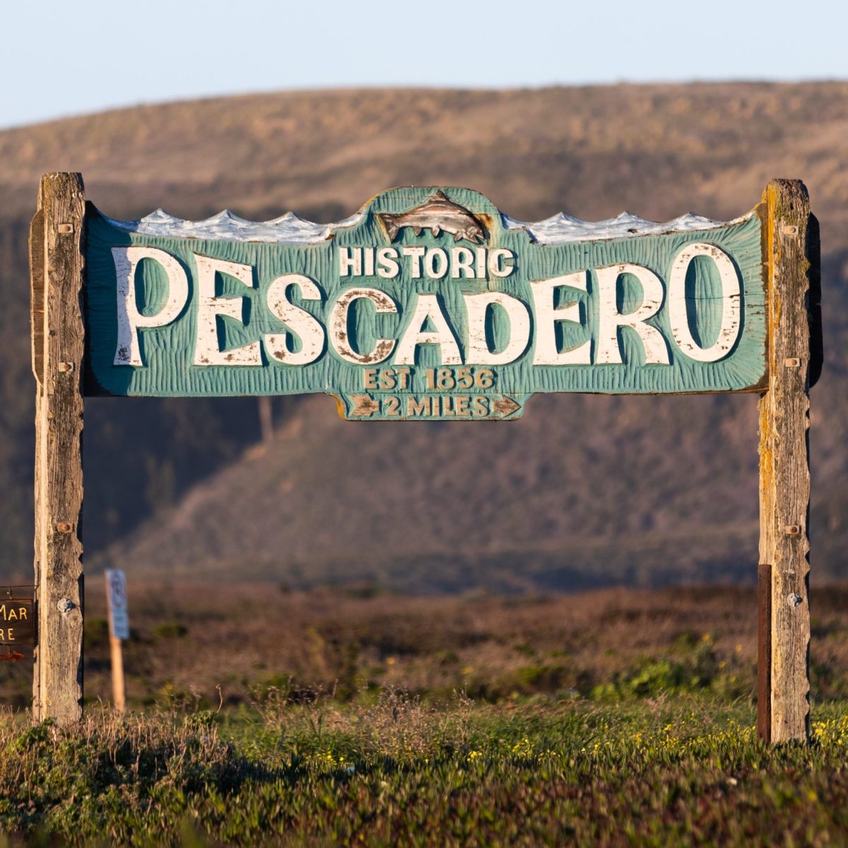 Escape to Pescadero for historic sights, diverse bites and wondrous wildlife