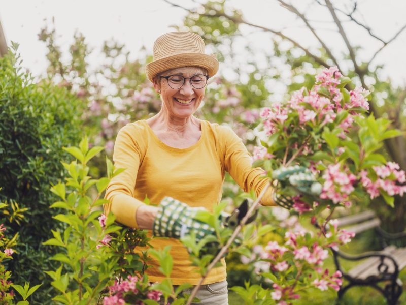 pruning flowers getty