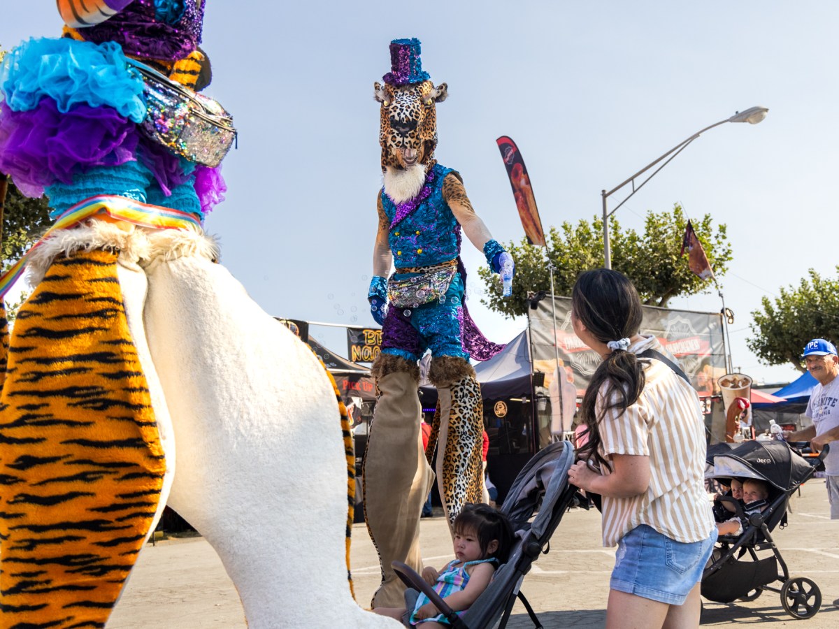 Photos: Inside the Santa Clara County Fair