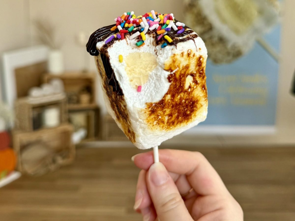 This new dessert spot offers cubed toasted marshmallow ice cream on a stick